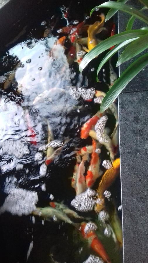 Khach San Hiep Yen 호텔 투이호아 외부 사진